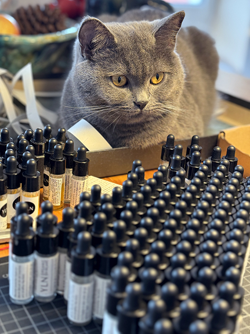 Hyaluronsäure Serum von YLN. Feuchtigkeitsspendende Naturkosmetik für strahlende und glattere Haut